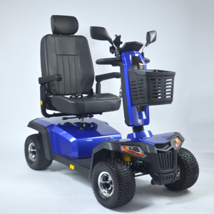 <span class=keywords><strong>Scooter</strong></span> Eléctrico de 4 Ruedas <span class=keywords><strong>para</strong></span> Personas Mayores, Batería de Plomo-Ácido de Largo Alcance, <span class=keywords><strong>Scooter</strong></span> Resistente <span class=keywords><strong>para</strong></span> Adultos Mayores - Product Image 6