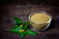 Poudre d'extrait de Cassia Angustifolia Senna Pan de qualité supérieure, ingrédient botanique naturel pour les applications dans les thés, les boissons et les mélanges alimentaires