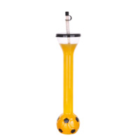 Gobelet de fête en plastique PET réutilisable de 600 ml en forme de ballon de football avec couvercle, sans BPA, anti-fuite, pour promotion de bar, souvenir, vente en gros