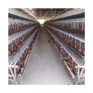 Modern Design A Type Automatic Poultry Farms Battery Layer Chicken Cages