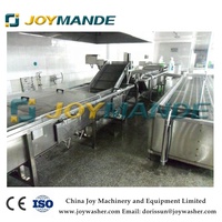 Hoge Kwaliteit Industriële Mango Fruit Warm Water Behandeling Machines Prijs Geblancheerde Machine Vruchten