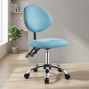 Modern Ergonomics Nail Chair Beauty Salon <b>Stool</b> Adjustable Multi-functional Facial Technician Dentist Chair with Backrest - Product Image 6