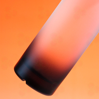 Bouteille en verre de gravure à l'acide givrée personnalisée pour rhum/liqueur Tequila Gin avec n'importe quelle couleur Articles de qualité supérieure fabriqués à la main