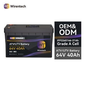 ユーティリティビークルバッテリー 電動ゴーカートレーシングバッテリー IFP2265146 セル 64V LiFePO4バッテリー 多目的車両（MPV）バッテリー - Product Image 1