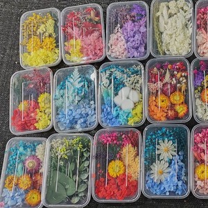 Fleurs séchées en vrac, fleurs artificielles réalistes pressées multi-styles pour emballage cadeau DIY, décorations pour la Journée de la Femme, vente en gros d'usine - Product Image 1