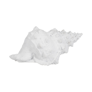 Scultura in resina a forma di conchiglia, decorazione costiera per casa, ufficio, bagno, tavolino da caffè, stile nautico - Product Image 1