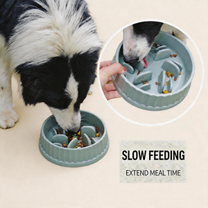 Tazón de Alimentación Lenta <span class=keywords><strong>para</strong></span> Perros Pequeños, Antideslizante, de PP, Previene la Bloqueo de Alimentos, <span class=keywords><strong>para</strong></span> <span class=keywords><strong>Bulldog</strong></span> <span class=keywords><strong>Francés</strong></span>, Pug, Dachshund, Cachorros y Perros Mayores, MOQ 10 - Product Image 2