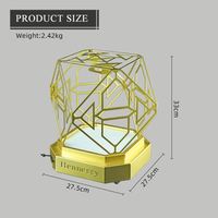 Nouvelle Cage LED Blanc Liquor Holder Présentoirs Bouteilles Présentateur Vin Décoration Présentateur