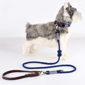 <span class=keywords><strong>Collar</strong></span> de perro de cuero genuino con correas de lujo, <span class=keywords><strong>Collar</strong></span> de nailon suave de perro, conjunto de <span class=keywords><strong>Collar</strong></span> y correa de perro de cuerda de nailon duradero con hebilla dorada - Product Image 4