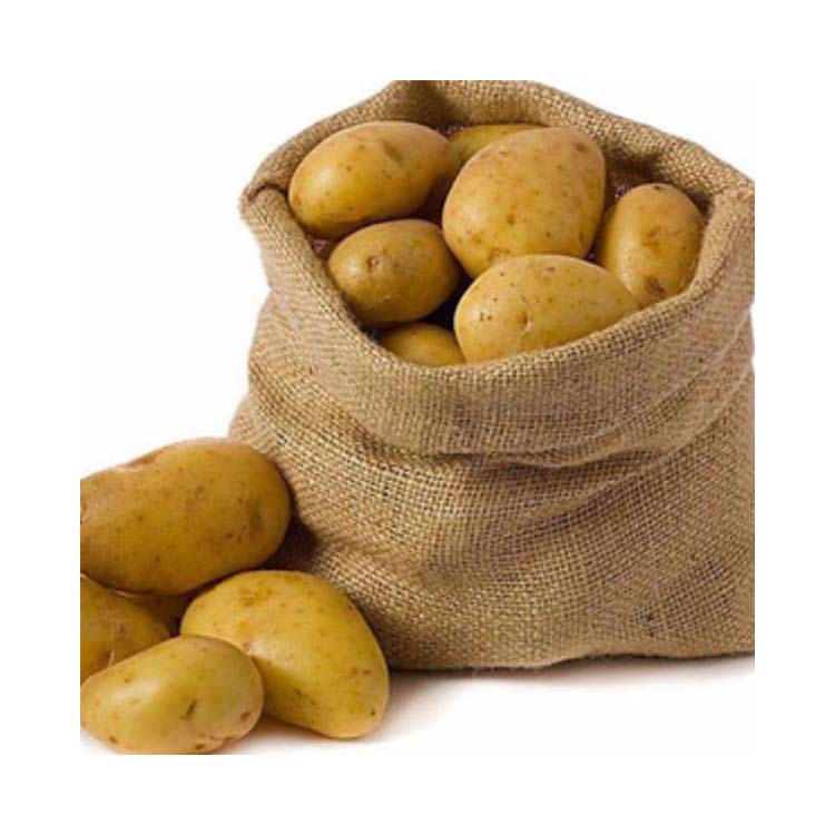 wholesale Fresh holland potatoes with mesh bag packing brown fresh potato organic fresh potato