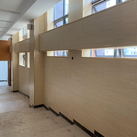 Panneau mural 3D Panneau acoustique perforé ignifuge Panneau acoustique écologique en bois pour l'école