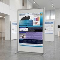 Affiche de présentation graphique personnalisée pour la recherche, présentoir en papier pour présentations académiques, pour la surveillance de la santé mentale des personnes âgées