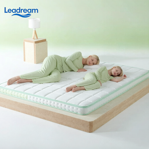ผู้ผลิตที่นอนสปริง Leadream ที่นอนสปริงแบบสั่งทำพิเศษ ขนาดควีนไซส์ คิงไซส์ ที่นอนสปริงแบบวางพื้นทันสมัย เป็นมิตรกับสิ่งแวดล้อม - Product Image 4