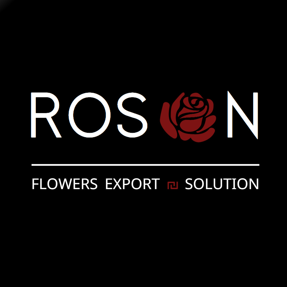 Qingdao Rosan Handicrafts Co., Ltd. logo