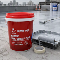 Agent hydrophobe imperméable, revêtement acrylique pour toiture, haute élasticité, respirant, finition imperméable, résistant aux intempéries, métal/murs