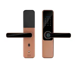 Digital Support 8 Languags Password Fingerprint Tuya TTlock App Remote Unlock Smart Door Lock For Home Apartment