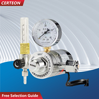 YQT-731 Détendeur CO2 chauffant en laiton 36V 110V 220V 0,25MPa boissons laboratoire Détendeur de dioxyde de carbone