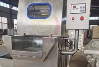Machine d'injection automatique de liquide salin pour viande fraîche grande capacité au meilleur prix / Machine d'injection automatique de liquide salin pour viande marinée