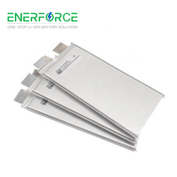 Enerforce 3.2V Pouch Cellules de batterie au lithium-ion à long cycle Lifepo4 25Ah 30Ah 40Ah 50Ah 60Ah 3.2V 50Ah 60Ah 30Ah Pochette pour batterie ionique