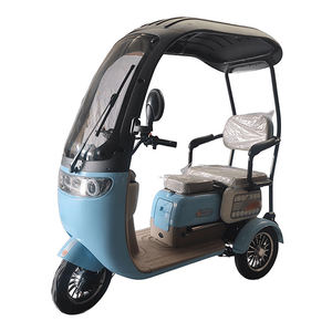 Urban Transportation's Low-Cost Vehicles for Passengers Leisure Carbon Steel Frame 3-Speed Gears Lead-Acid Battery - Product Image 2