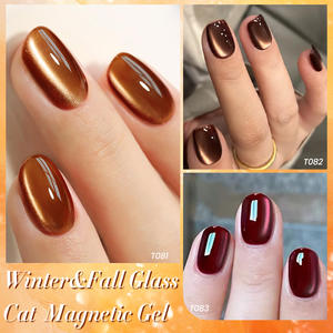 مولودة جميلة برو جديد مجموعة ألوان طلاء عيون القط OEM لوازم الأظافر 15 خالية من هيما راتنج مغناطيسي طلاء أظافر جل بالأشعة فوق البنفسجية - Product Image 4