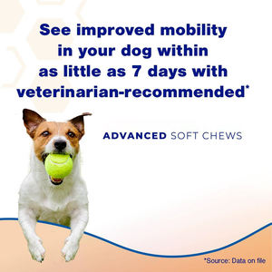 כל הזנים כלבים מלאים גיל כלב מחמד מלא ותוספת משותפת תומך בריאות משותפת שומרת על שימון משותף - Product Image 3