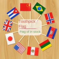 Drapeaux de dents personnalisés jetables pour aliments et fruits, longs, pour fêtes et célébrations