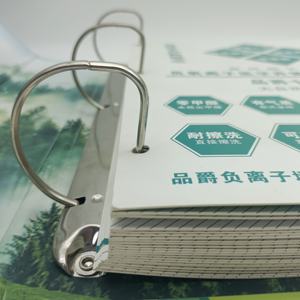 Boîte d'échantillon personnalisée couleur verte reliure à anneaux papier offset pour matériaux <span class=keywords><strong>de</strong></span> construction papier peint catalogue thème <span class=keywords><strong>de</strong></span> la <span class=keywords><strong>santé</strong></span> <span class=keywords><strong>de</strong></span> l'air - Product Image 4