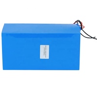 Paket Baterai LiFePO4 24V 50Ah Kustom Baterai Litium LiFePO4 Isi Ulang 24V 50Ah