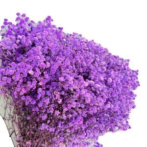Flores Preservadas de Gypsophila Branca Secas 60cm de Altura para Artesanato DIY, Ação de Graças, Dia dos Namorados, Formatura, Dia das Mães - Product Image 6
