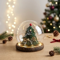 Pohon Natal Mini Buatan Tangan dengan Bunga Kering dalam Ornamen Kubah Kaca untuk Hari Ibu & Hari Valentine