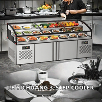Vitrine Réfrigérée Commerciale à Double Température, 3 Niveaux, en Acier Inoxydable, Éclairage LED, Refroidissement Direct