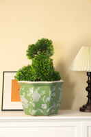 Pots à fleurs en porcelaine de style élégant vert frais, durables et écologiques pour une utilisation à la maison, sur le sol et dans les centres commerciaux, intérieur/extérieur