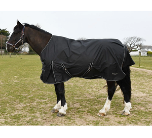 Horse Fly Rug Lightweight Mesh Design Crafted from Breathable Polyester Ideal for Hot Weather Fly Protection - Product Image 6