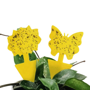 Pièges à mouches des fruits, pièges à mouches collants jaunes pour les insectes des plantes d'intérieur - Product Image 1