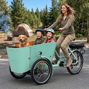 Bicicleta Eléctrica de 6 Velocidades, Estilo Holandés, de 3 Ruedas, Triciclo de Carga, Bicicleta Eléctrica Familiar con Asientos para Niños/Resistente a la Intemperie - Product Image 1