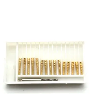 Prix d'usine – Vis de fixation dentaire en acier inoxydable doré pour canaux radiculaires – 15 pièces par boîte - Product Image 2