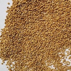 เครื่องอัดเม็ดอาหารปลาลอยน้ำได้อัตโนมัติ1-3ตันต่อชั่วโมงพร้อมเครื่องบดเนื้อและเตาอบ304สแตนเลส - Product Image 6