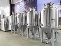 3bbl 4bbl 5bbl brew equip beer ferment tank /ss 1000l fermenteur prix tank beer system cuves de fermentation à vendre