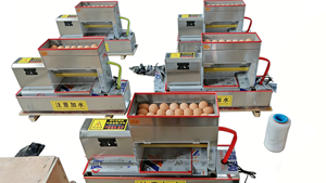 เครื่องกะเทาะเปลือกไข่ไก่แบบอัตโนมัติ HJ-QK05 - Product Image 5