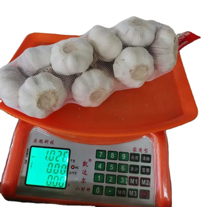 Bawang putih segar 10kg karton bawang putih normal 1kg pak kecil ekspor Tiongkok