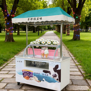 Carrito de Helados Móvil con Luces LED, Vitrina Refrigerada para Gelato - Product Image 1