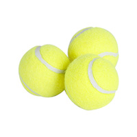 Lanceur de balle de tennis élastique pour animaux de compagnie Balle de chien résistante aux morsures de 5cm pour l'entraînement et le jeu Balle de tennis Machine à lancer