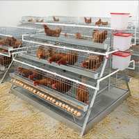 Fantastique une cage de poulet de couche de type équipement de ferme avicole de bonne qualité