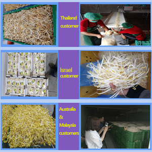 Thương mại Hạt Giống Nảy mầm máy tự động đậu nảy mầm Máy đậu tương và đậu xanh đậu nảy mầm sản phẩm máy móc chế biến - Product Image 6