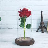 Nouvelle conception de la Belle et la Bête, roses éternelles conservées en gros avec lumières LED dans un dôme en verre à vendre