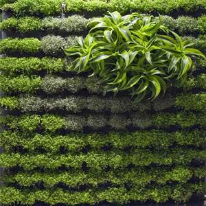 Multifunctional Wall Hanging Flower Pot Felt Vertical Plant Bag - Product Image 5