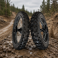 Kit complet de roues tout-terrain 14'' avant et 12'' arrière, jantes en fer à dents larges, moyeu de roue SDG noir, kit de pneus pour moto tout-terrain