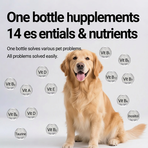 Complément nutritionnel probiotique pour chiens et chats OEM : contient des microbes intestinaux, comprimés probiotiques à mâcher pour animaux de compagnie et comprimés de soins de santé pour animaux de compagnie - Product Image 2