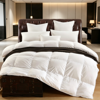 Couette personnalisée avec logo, 70 % duvet de canard blanc, insert de couette de luxe pour hôtel, couette chaude d'hiver, noyau de couette, fournisseur de literie